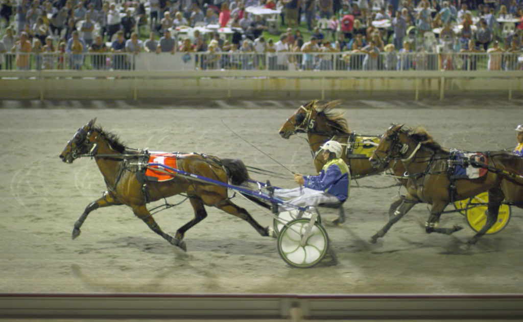 First Rankings Announced For The 2016 TABtouch Perth Inter Dominion thumbnail