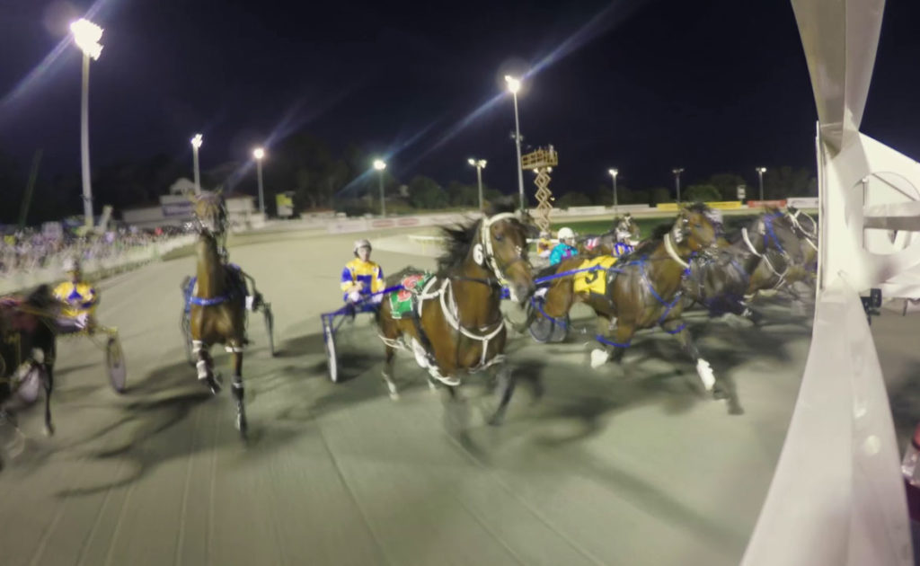 Perth Cup Winning Jockey Experiences Harness Thrill thumbnail
