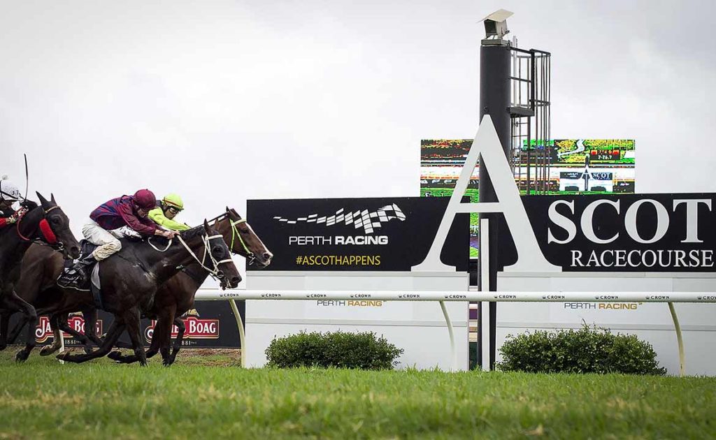 Durendal Chasing Breakthrough Perth Win In Scenic Blast Stakes thumbnail