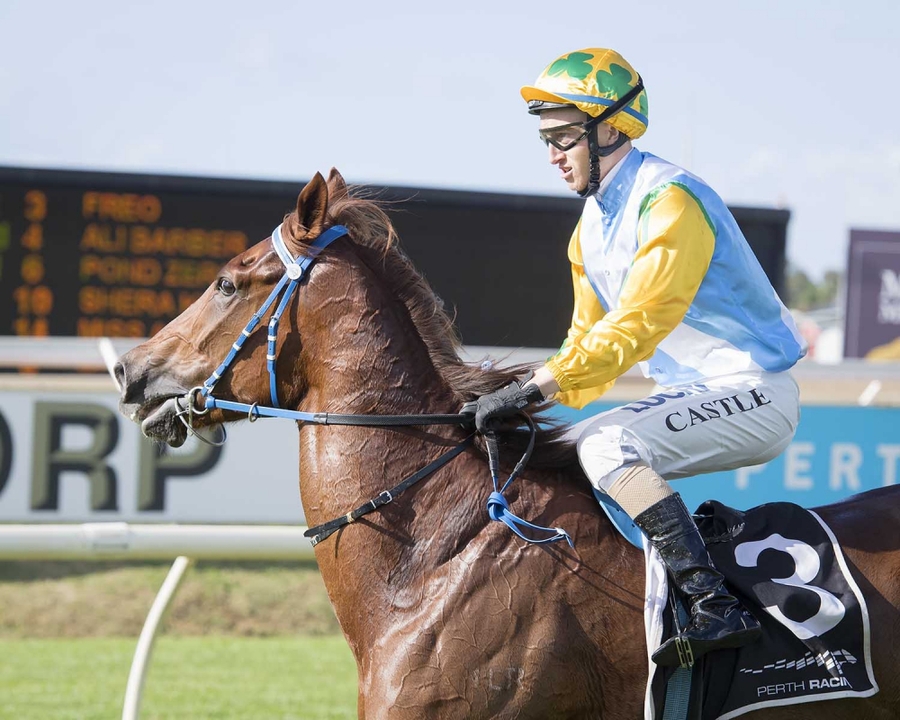 The Luck Of The Irish With Freo In Peters Stakes thumbnail