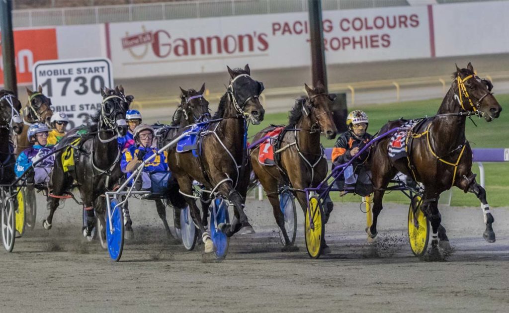 Tribeca on top as Inter Dominion heats up thumbnail