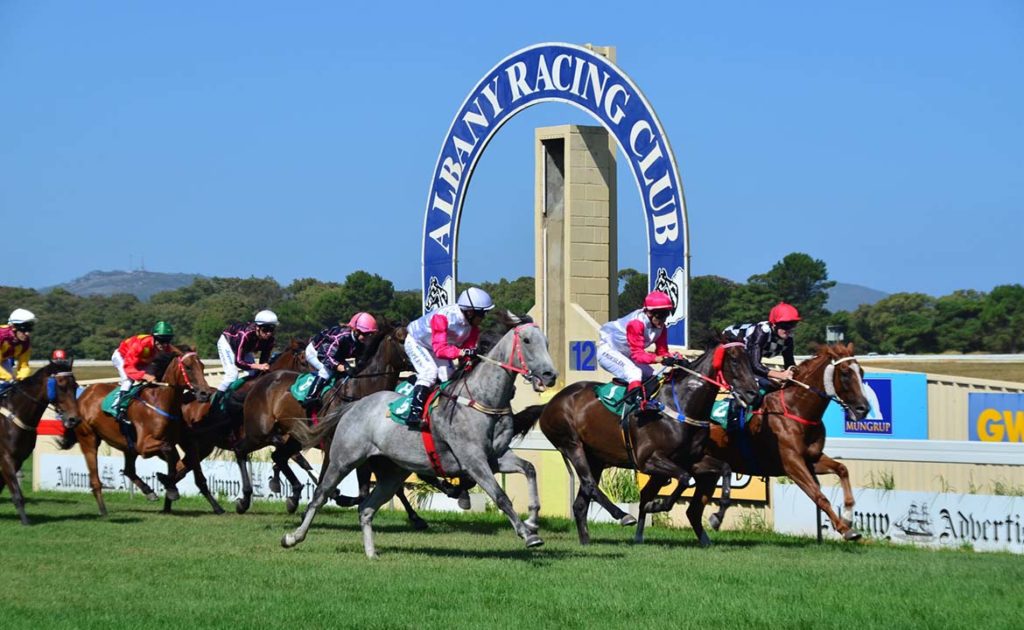 Update on Albany Racing Club’s Track thumbnail