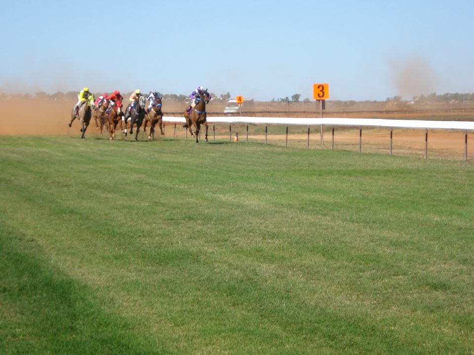 A Family Affair In Port Hedland Cup thumbnail