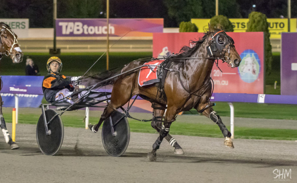 Hot Fields For Harness Horse Of The Year thumbnail