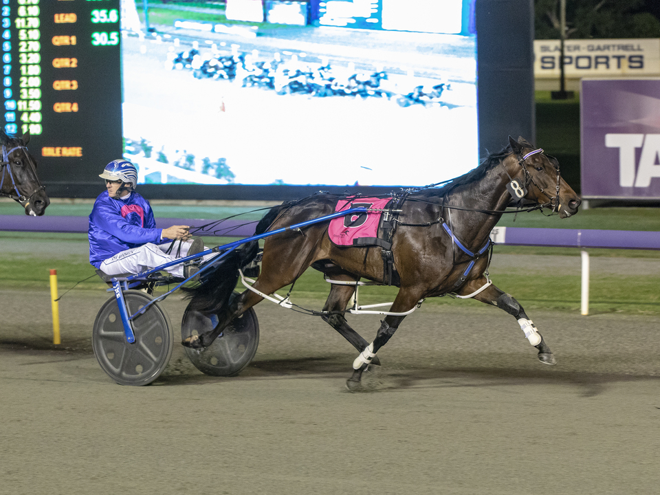 Gartrell Gives Galactic Star A Pacing Cup Chance thumbnail