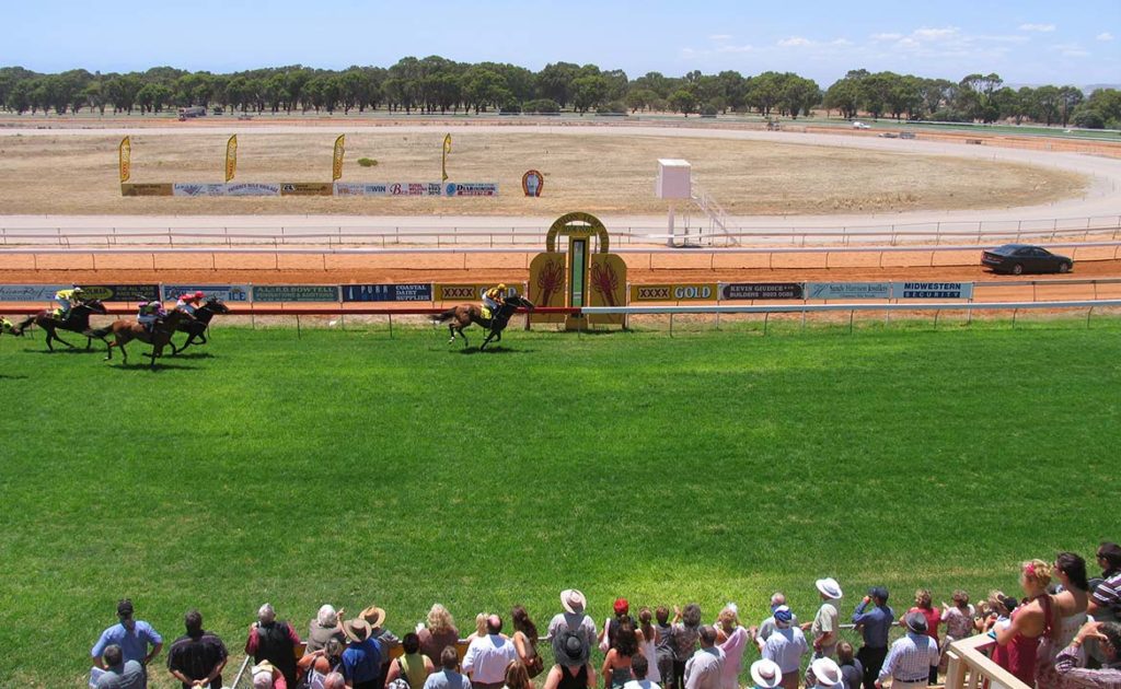 Hall Favourite To Take Out Geraldton Features thumbnail