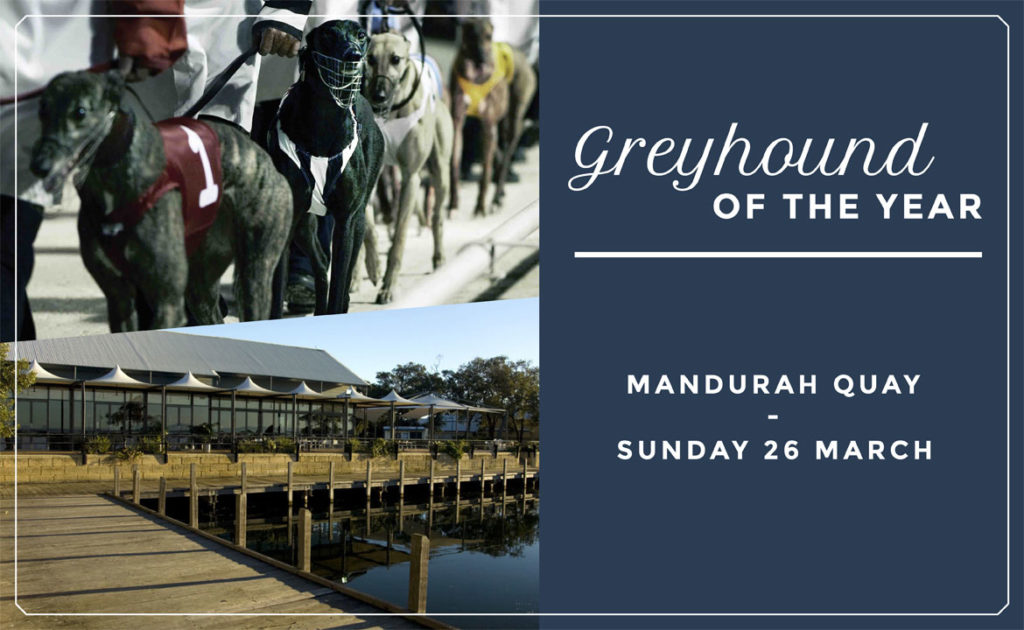 2016 Greyhound of the Year Awards Announced thumbnail