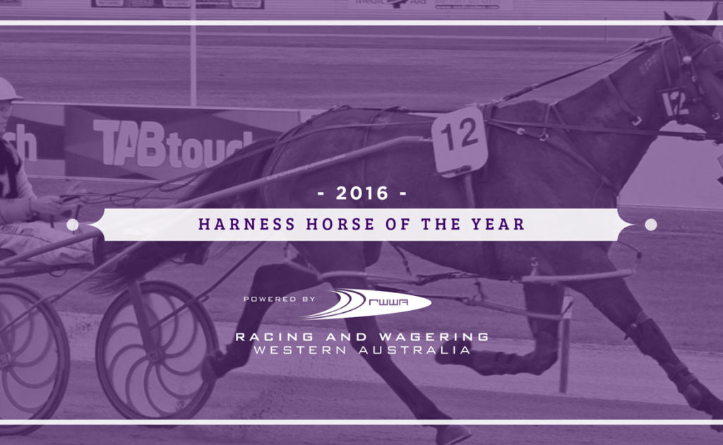 2016 Harness Horse of the Year Nominations Released thumbnail