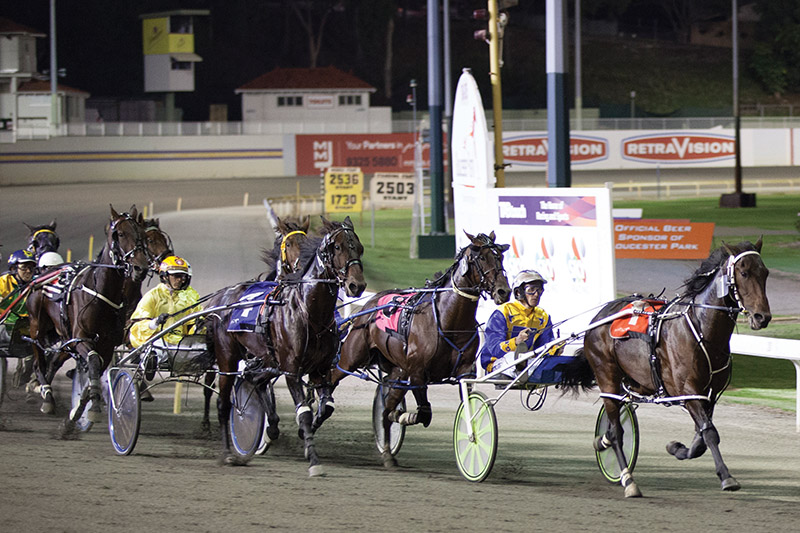 Prime Position For Bucket List In Pacing Cup thumbnail