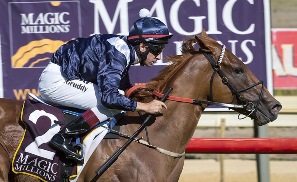 Magic Millions Yearling Sale: Day One thumbnail