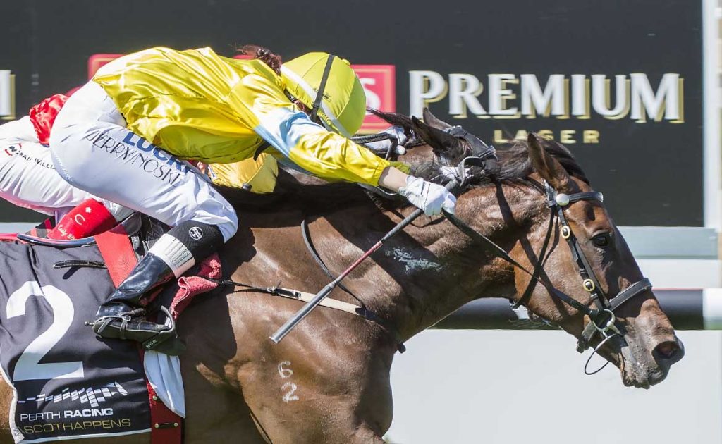 LADY LUCK SHINES ON MAN BOOKER IN WA GUINEAS thumbnail