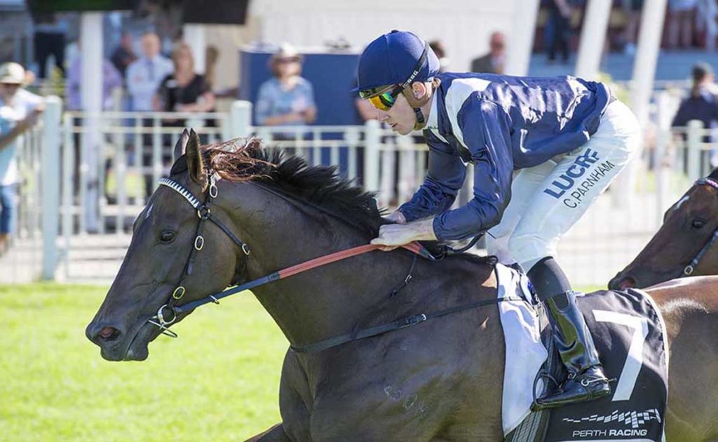 Parnham Looking For Luck In Newmarket thumbnail