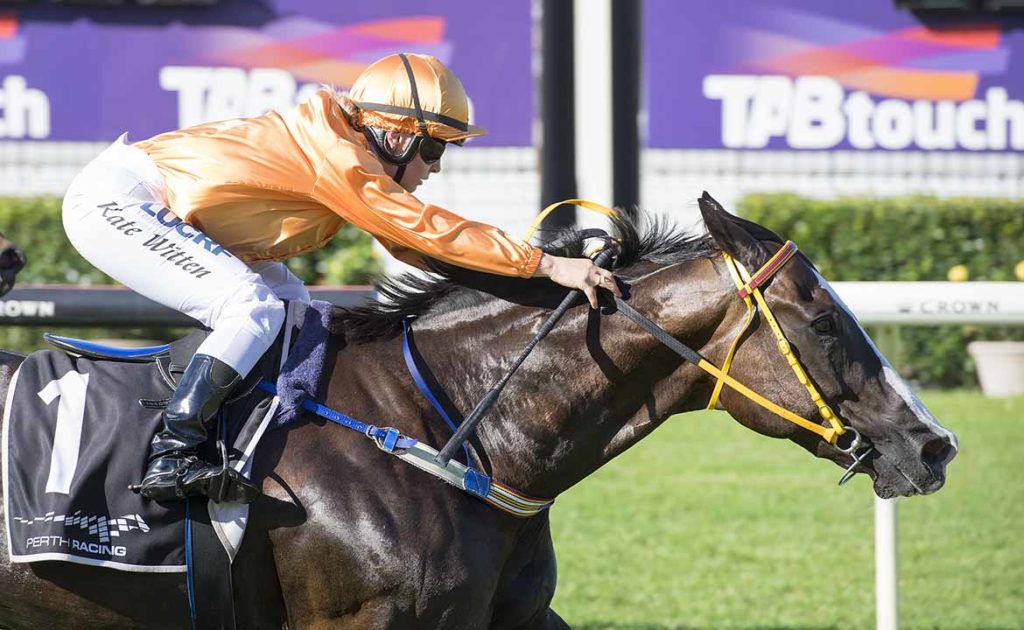 Oakleigh Plate No Certainty For Malibu thumbnail