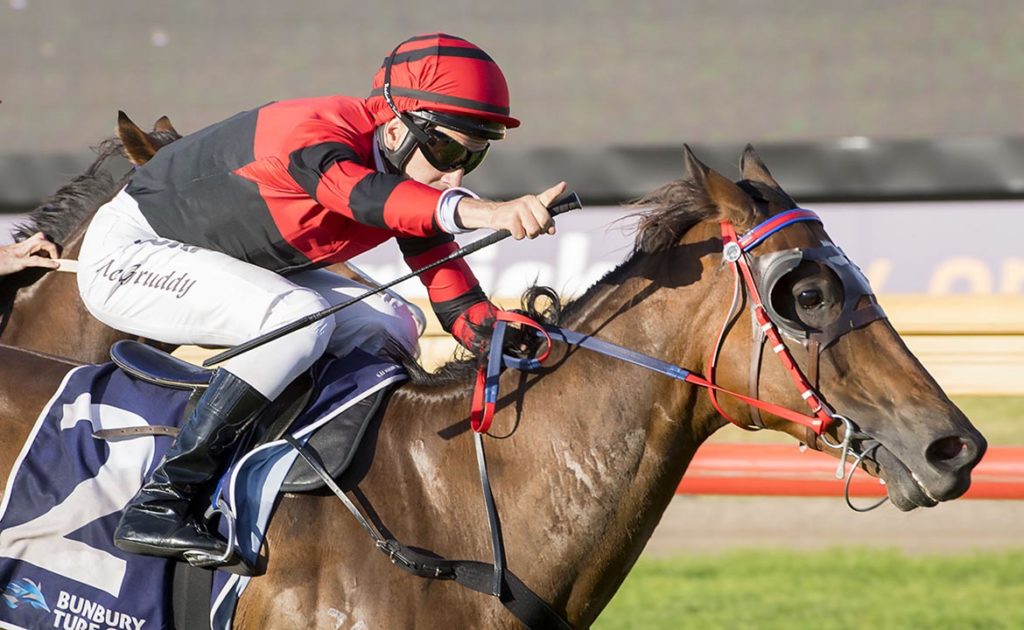 Mc Gruddy Sees Black And Red For Ascot Finale thumbnail