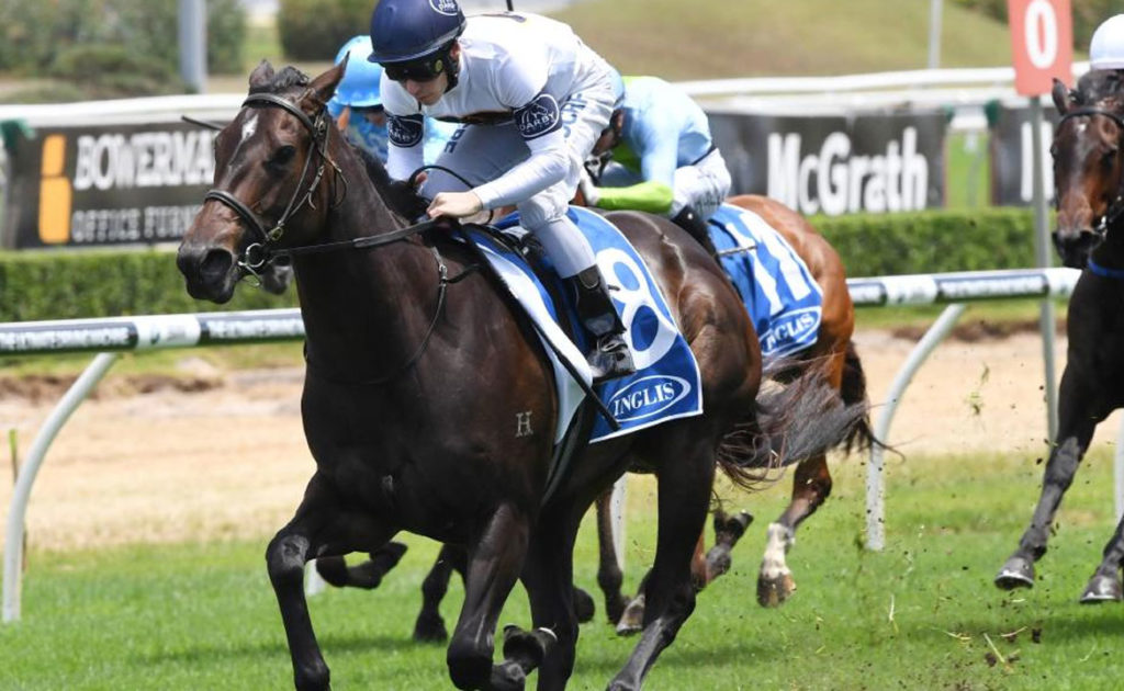 Portelli out to upset Catchy in Golden Slipper thumbnail