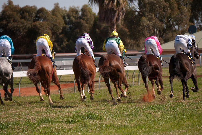 Daradale Out To Impress In Provincial Championship Series (Kalgoorlie) thumbnail