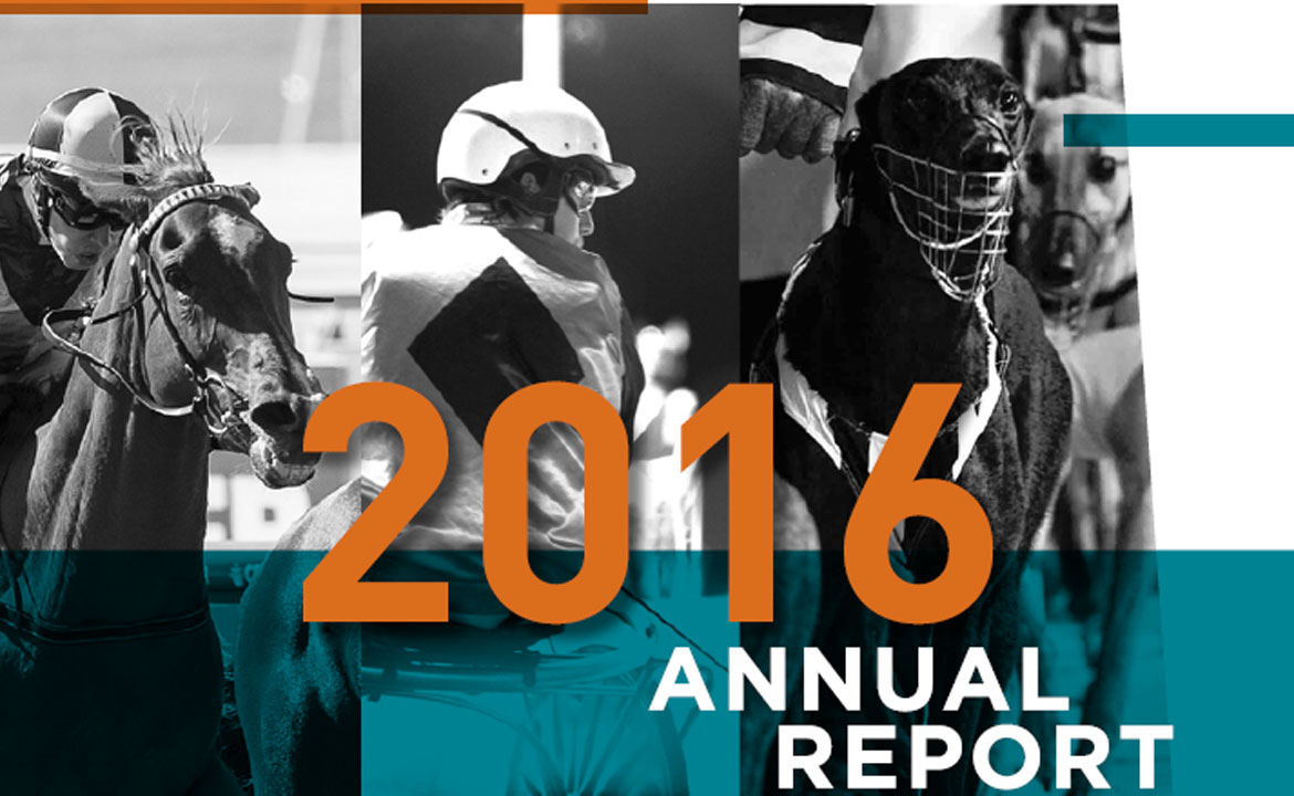 annual-report16
