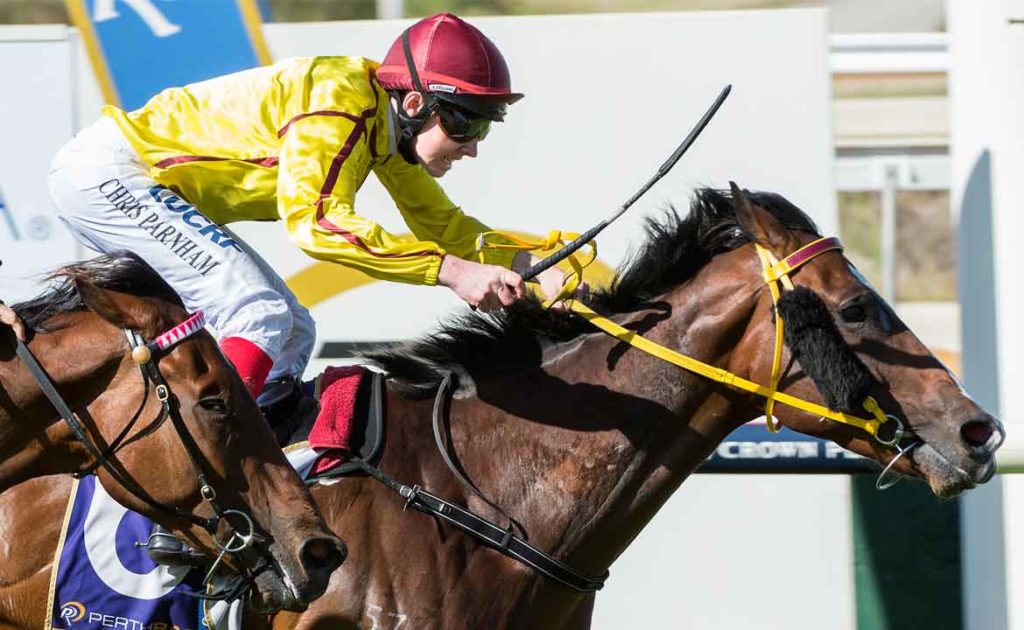 WA Flavour In Bid To Win Group One In Melbourne thumbnail