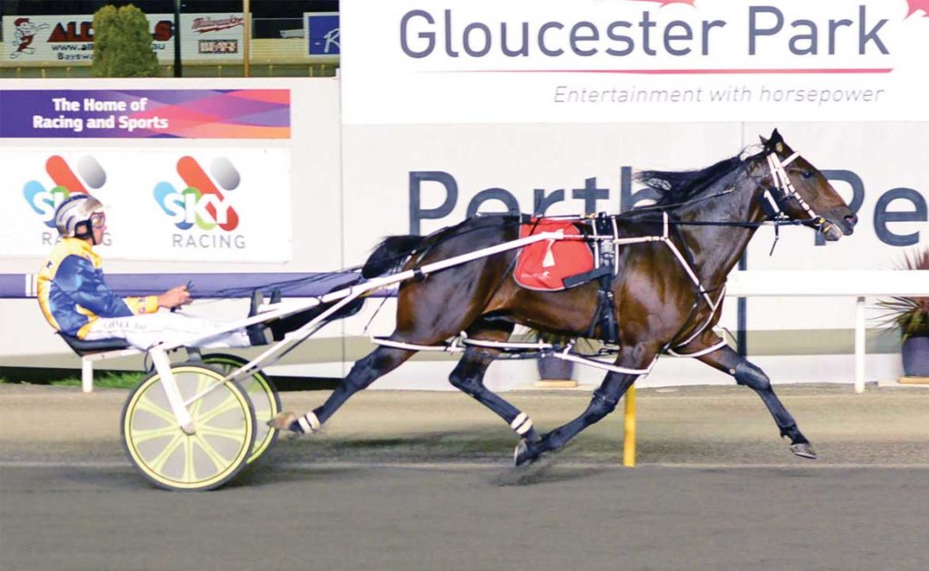 Beaudiene Boaz Chasing History In WA Pacing Cup thumbnail