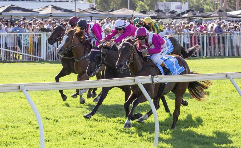 Star Mare Wins Perth Cup thumbnail