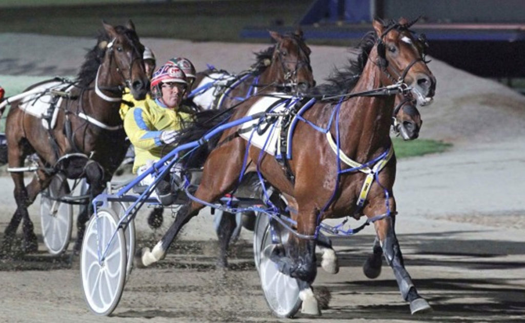 Nominations Announced For The 2016 TABtouch Perth Inter Dominion thumbnail