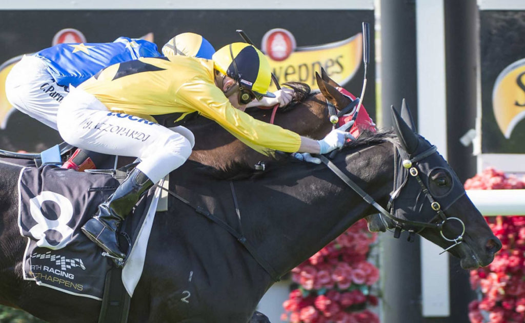 Owner Delights In Northam Cup Triumph thumbnail