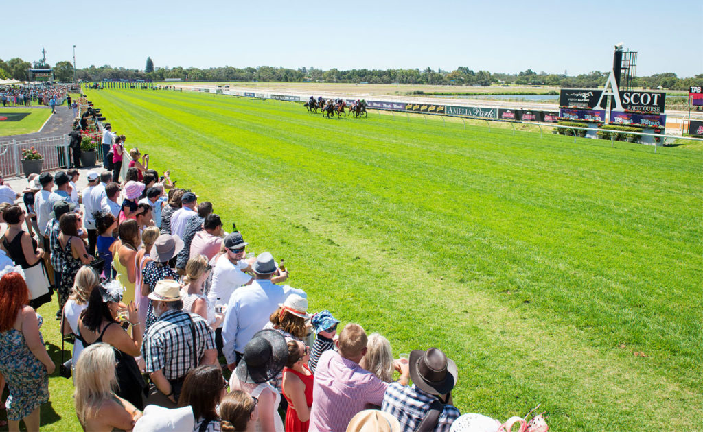RWWA endorses independent review of thoroughbred handicapping thumbnail