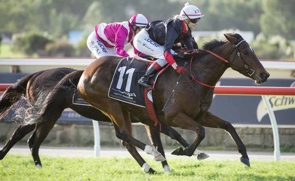 Warwick Won’t Rule Out Melbourne Campaign For Wink And A Nod thumbnail