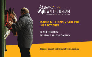 Magic Millions Yearling Inspections thumbnail