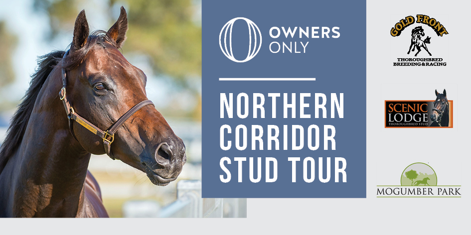 Northern Corridor Stud Tour thumbnail