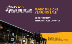 Magic Millions Perth Yearling Sale – Day 2 thumbnail