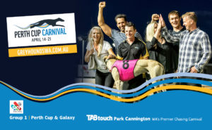 Perth Cup Carnival – Finals thumbnail