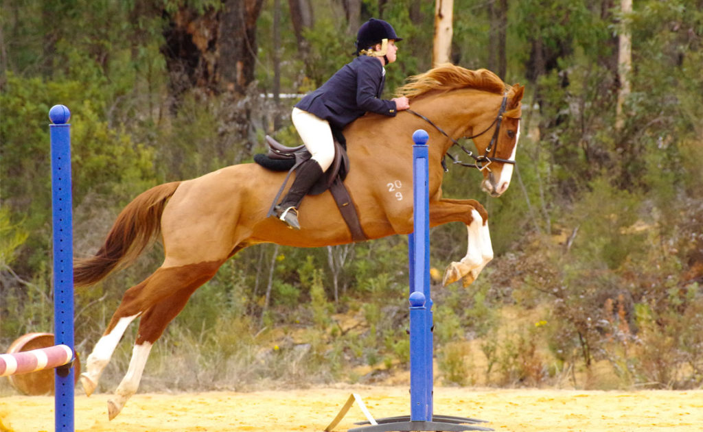 Pinjarra Horse & Pony Club Show Jumping Spectacular thumbnail
