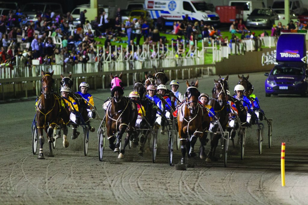 2019 WA Harness Horse of the Year Nominees Announced thumbnail
