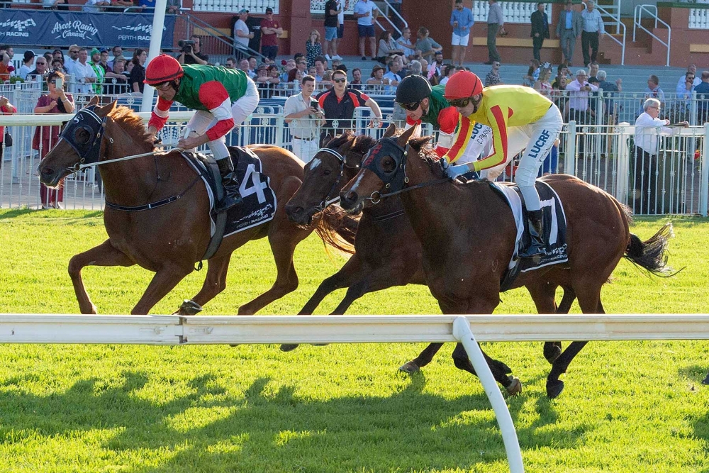 An Early Look – Northerly Stakes Day thumbnail