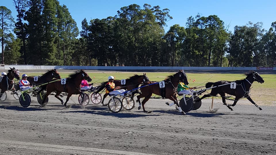 Community TAB to provide Busselton Trotting Club with $4,000 grant thumbnail