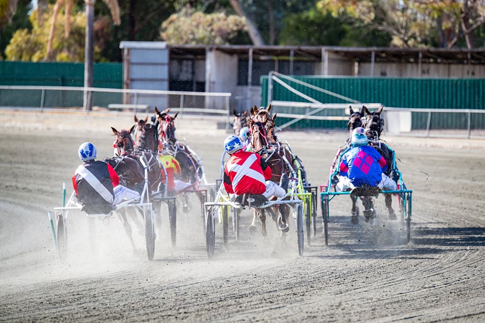 Pinjarra Harness Racing and Community TAB to host Team Teal Fundraiser thumbnail