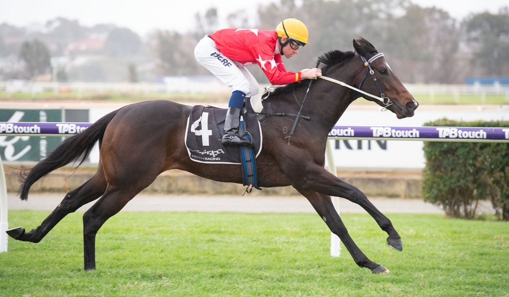 First Law Stamps Guineas Credentials thumbnail