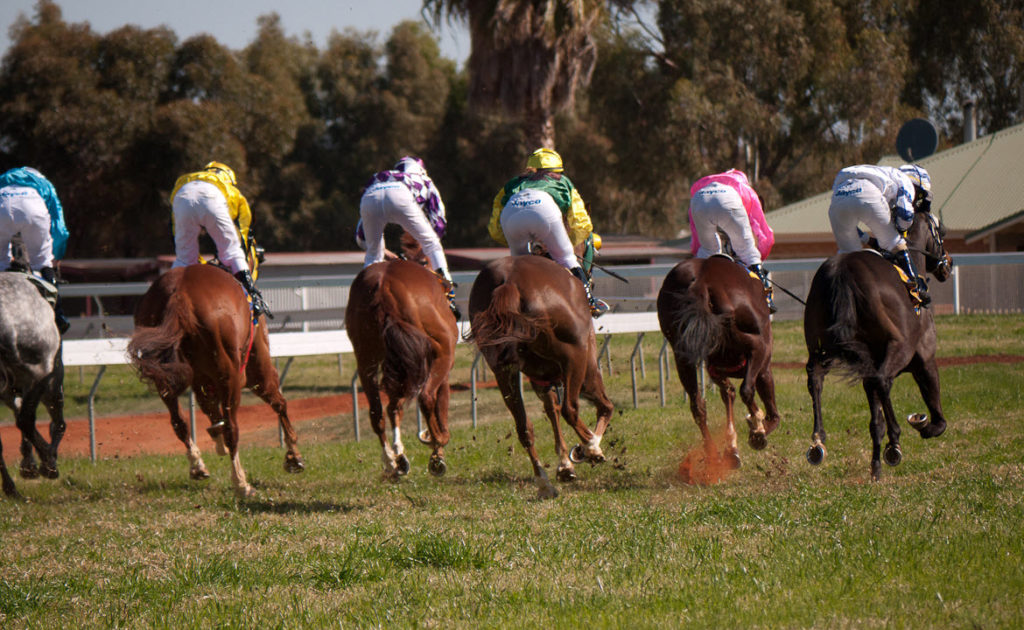 Coolgardie Racing Club and Community TAB to fundraise for local community groups thumbnail