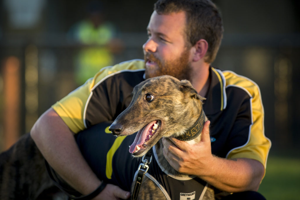 Greyhounds Australasia Website to be re-launched with Upgrades and Improvements thumbnail