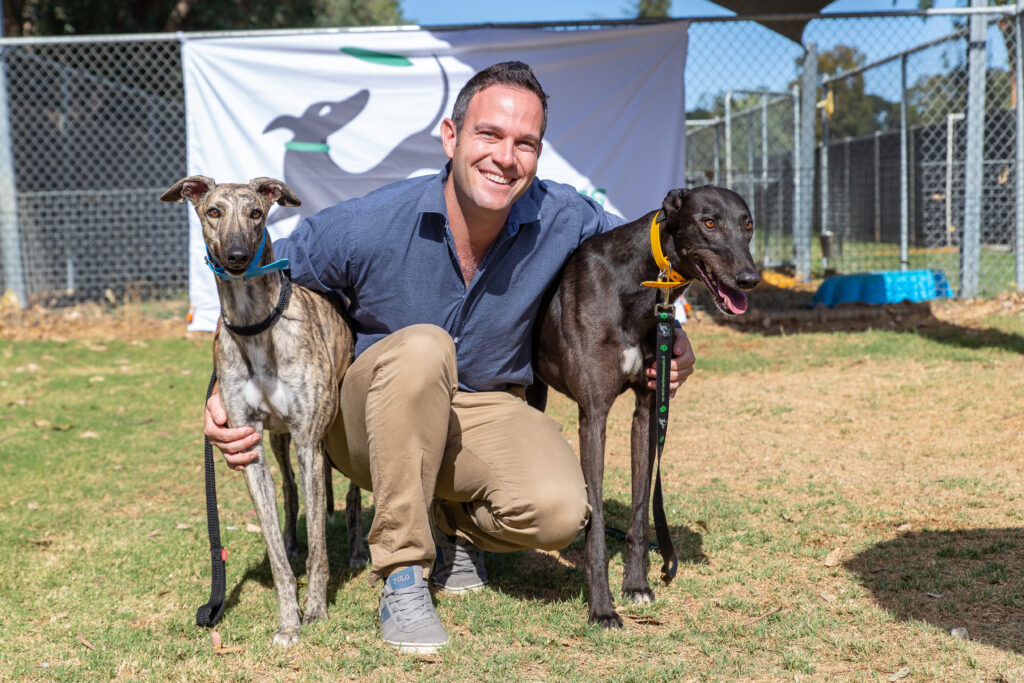 Greyhounds as Pets WA Announces Adoption Month thumbnail