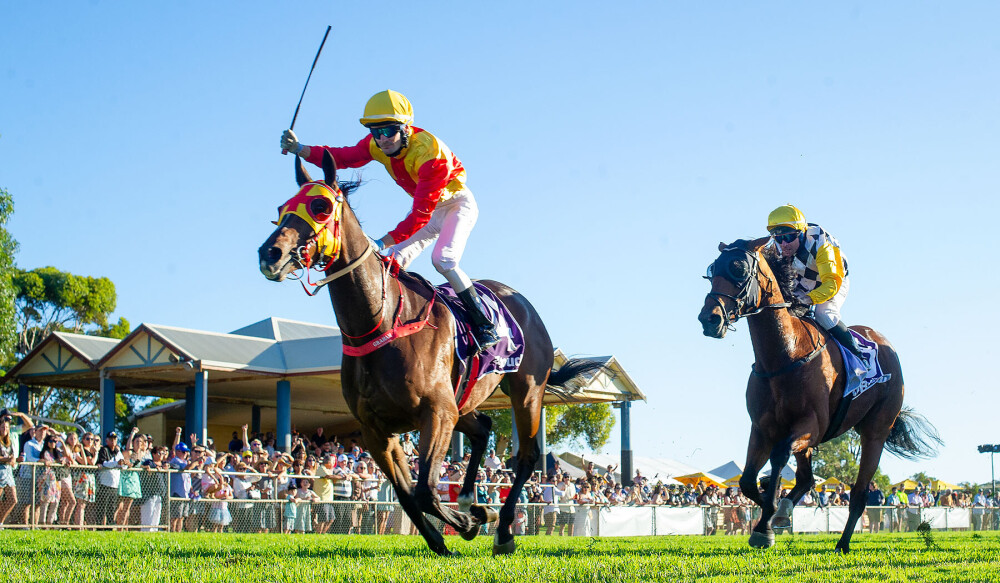 Geraldton Cup offering opportunity for community to connect trackside thumbnail