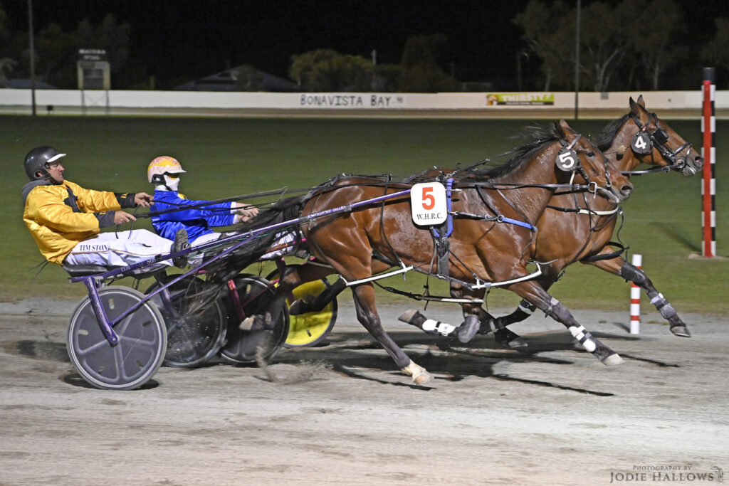 Wagin Pulls Off a Successful Double Westbred Feature thumbnail
