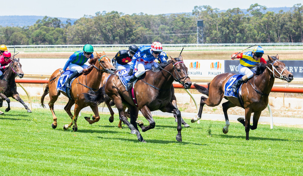 Miller&#39;s Spirits Lifted - Racing &amp; Wagering WA