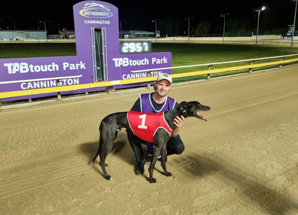 Top runners announced as contenders for the 2021 WA Greyhound of the Year thumbnail