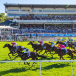 Perth Cup passes the COVID test thumbnail