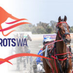 Racing WA Releases Further Information on Harness Ranking System thumbnail