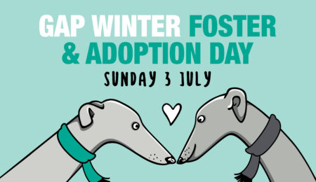 Greyhounds as Pets WA Winter Foster and Adoption Day thumbnail