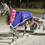 Patrikiar Leading Lady At Northam In Mares Feature