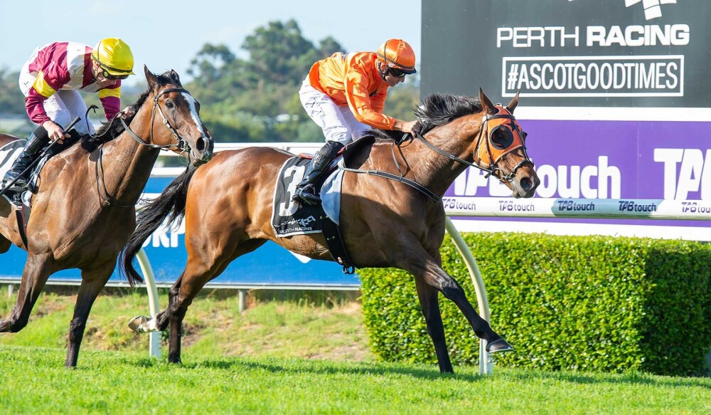 Marocchino Allocated Top Weight For Perth Cup thumbnail